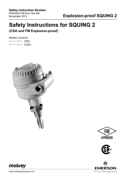 Safety Instructions for SQUING 2 (CSA and FM Explosion-proof)