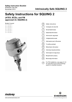 Safety Instructions for SQUING 2 (CSA approved I.S. SQUING 2)
