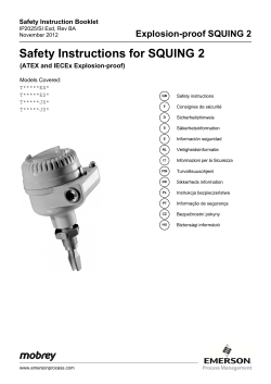 Safety Instructions for SQUING 2 (ATEX Explosion-proof)