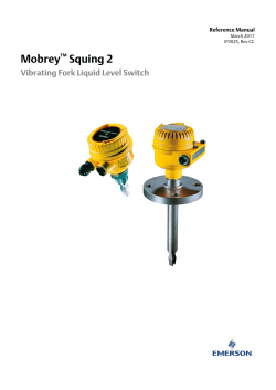 SQUING 2 Vibrating Fork Point Level Switch
