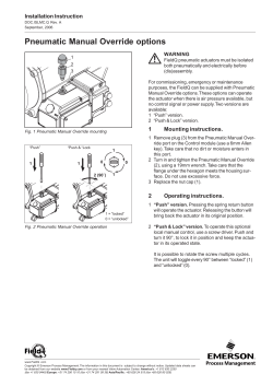 Installation Instruction - Manual Control Option: Smart & IB Modules