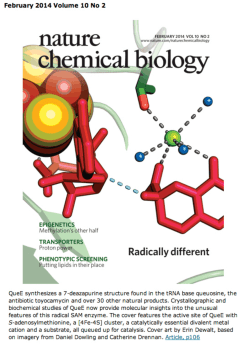 Bandarian lab research collaboration leads to Nature Chemical Biology cover photo