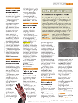 Sanov lab describes the first definitive physical characterization of ethylenedione (OCCO) and gets a shout out in Nature!