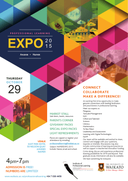 Download the PDF Flyer here