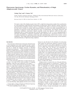 Fluorescence Spectroscopy, Excitation Dynamics and Photochemistry of Single Allophycocyanin Trimers,