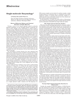 Single-Molecule Enzymology,