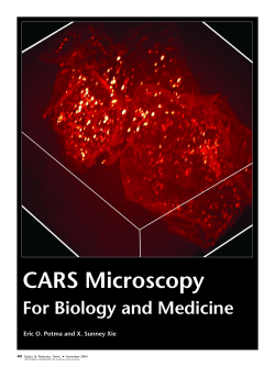 Cars Microscopy for Biology and Medicine