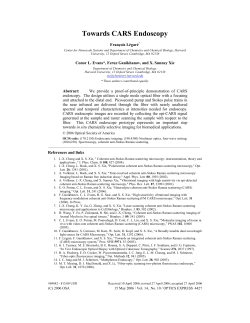 Towards CARS Endoscopy