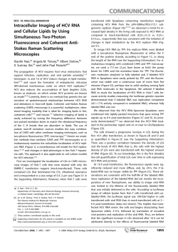 Intracellular Imaging of HCV RNA and Cellular Lipids by Using Simultaneous Two-Photon Fluorescence and Coherent Anti-Stokes Raman Scattering Microscopies