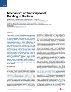 Mechanism of Transcriptional Bursting in Bacteria