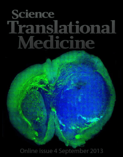 Rapid, Label-Free Detection of Brain Tumors with Stimulated Raman Scattering Microscopy