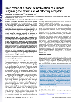 Rare event of histone demethylation can initiate singular gene expression of olfactory receptors