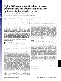 Digital RNA Sequencing Minimizes Sequence-dependent Bias and Ampli cation Noise with Optimized Single-molecule Barcodes