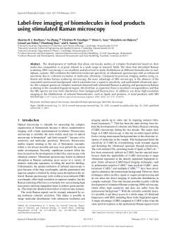 Label-free imaging of biomolecules in food products using stimulated Raman microscopy