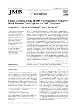 Single-Molecule Study of DNA Polymerization Activity of HIV-1 Reverse Transcriptase on DNA Templates