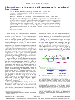 Label-free imaging of heme proteins with two-photon excited photothermal lens microscopy