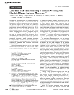 Label-Free, Real-Time Monitoring of Biomass Processing with Stimulated Raman Scattering Microscopy