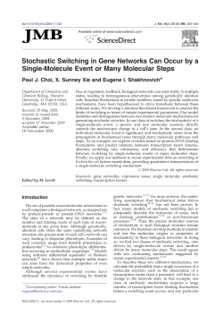 Stochastic Switching in Gene Networks Can Occur by a Single-Molecule Event or Many Molecular Steps
