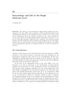 Enzymology and Life at the Single Molecule Level