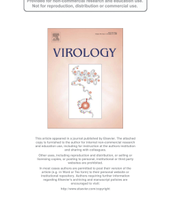 Direct imaging of the disruption of hepatitis C virus replication complexes by inhibitors of lipid metabolism