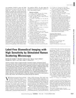 Label-Free Biomedical Imaging with High Sensitivity by Stimulated Raman Scattering Microscopy