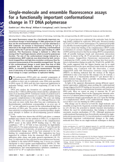 Single-molecule and ensemble fluorescence assays for a functionally important conformational change in T7 DNA polymerase