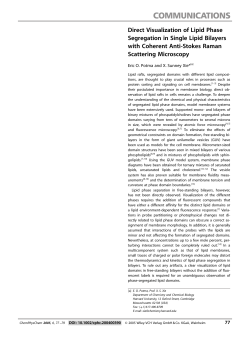 Direct Visualization of Lipid Phase Segregation in Single Lipid Bilayers with Coherent Anti-Stokes Raman Scattering Microscopy