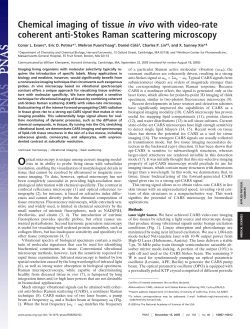 Chemical imaging of tissue in vivo with video-rate coherent anti-Stokes Raman scattering microscopy