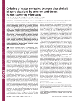 Ordering of Water Molecules Between Phospholipid Bilayers Visualized by Coherent anti-Stokes Raman Scattering Microscopy