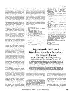 Single-Molecule Kinetics of Exonuclease Reveal Base Dependence and Dynamic Disorder