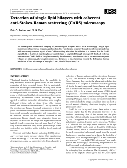 Detection of single lipid bilayers with coherent anti-Stokes Raman scattering (CARS) microscopy