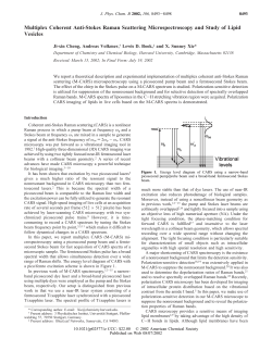 Multiplex Coherent Anti-Stokes Raman Scattering Microspectroscopy and Study of Lipid Vesicles