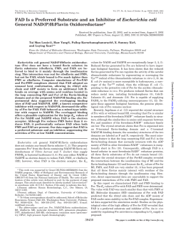 FAD is a Preferred Substrate and an Inhibitor of Escherichia coli General NAD(P)H: flavin Oxidoreductase