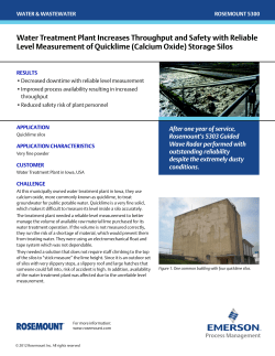 Proven Results: Water Treatment Plant Increases Throughput and Safety with Reliable Level Measurement of Quicklime (Calcium Oxide) Storage Silos