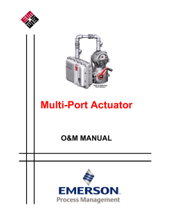 MPA Manual