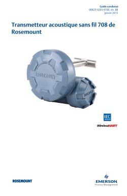 Fran&ccedil;ais (French)