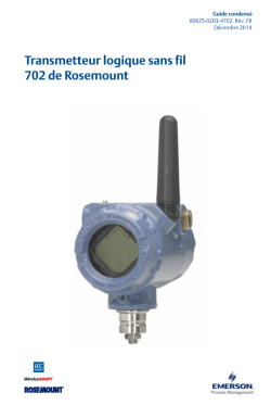 Fran&ccedil;ais (French)