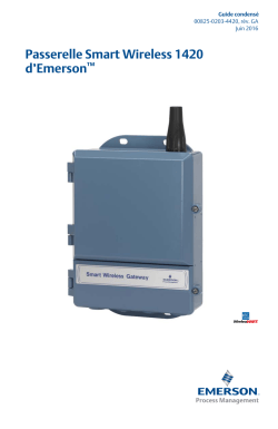 Fran&ccedil;ais (French)