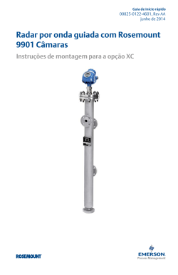 Portugu&ecirc;s (Portuguese- Brazil)