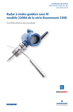 Fran&ccedil;ais (French)