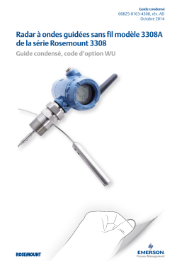 Fran&ccedil;ais (French)