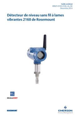 Fran&ccedil;ais (French)