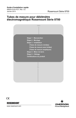 Fran&ccedil;ais (French)