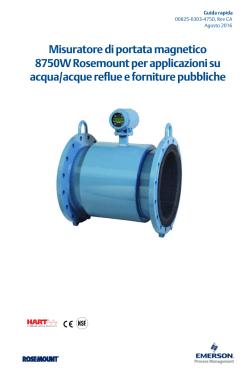 Fran&ccedil;ais (French)