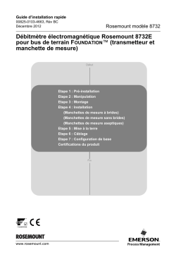 Fran&ccedil;ais (French)