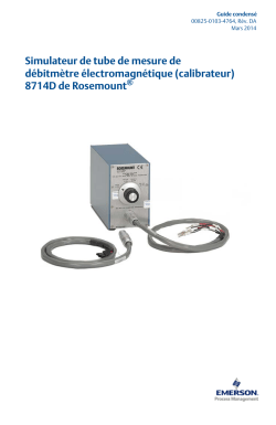 Fran&ccedil;ais (French)