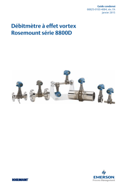 Fran&ccedil;ais (French)