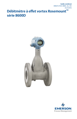 Fran&ccedil;ais (French)