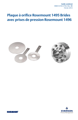 Fran&ccedil;ais (French)