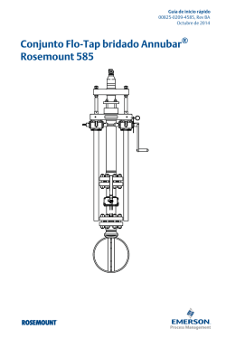 Espa&ntilde;ol (Spanish)